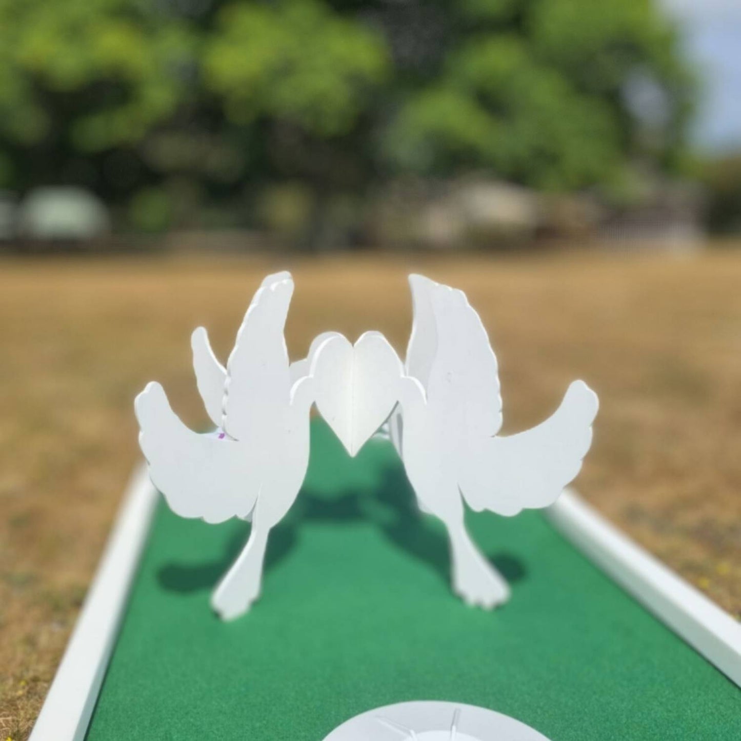 Obstacle au mariage des colombes